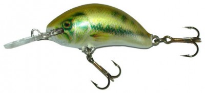 Model 2-5 Sinking color BASS