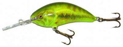 Model 2-5 Sinking color BASS-CHA