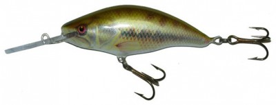 Model 6 MR & 6 DR color BASS