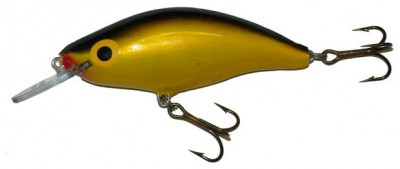 Model 6 MR & 6 DR color BGI