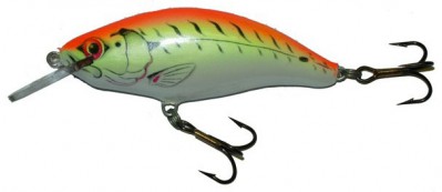 Model 6 MR & 6 DR color FT-R