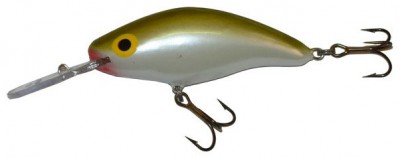 Model 6 MR & 6 DR color GS