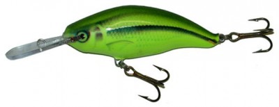 Model 6 MR & 6 DR color SI-CHA