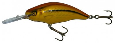 Model 6 MR & 6 DR color SI-GOLD