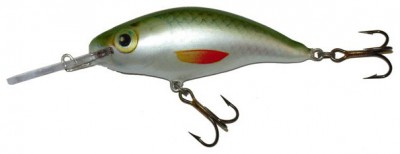 Model 6 MR & 6 DR color SIL