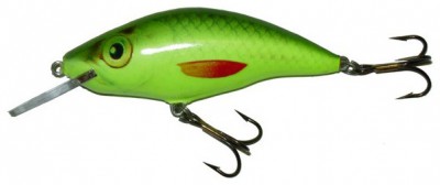 Model 6 MR & 6 DR color SIL-CHA