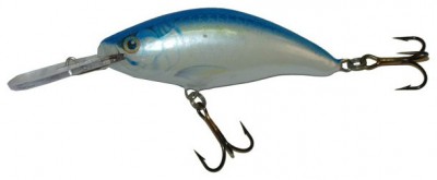 Model 6 MR & 6 DR color TR