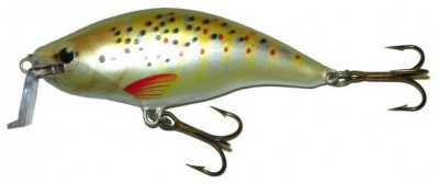 Shallow Runner 6 color BT