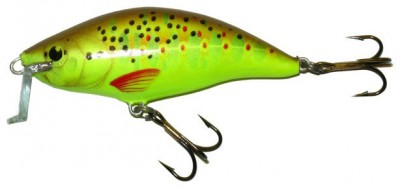 Shallow Runner 6 color BT-CHA