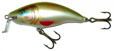 Shallow Runner 6 color DOR