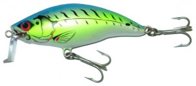 Shallow Runner 6 color FT-B