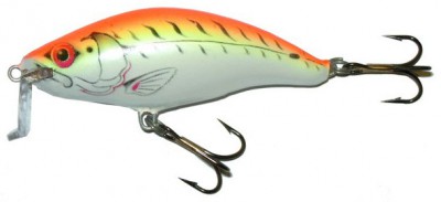 Shallow Runner 6 color FT-R