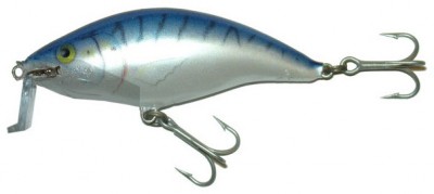 Shallow Runner 6 color MAC