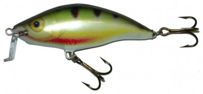 Shallow Runner 6 color PR