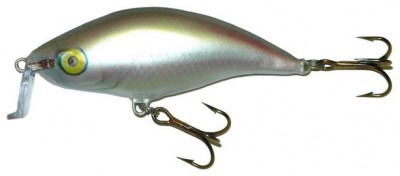 Shallow Runner 6 color RE