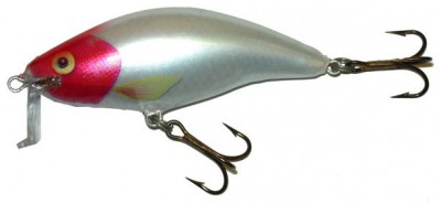 Shallow Runner 6 color RH