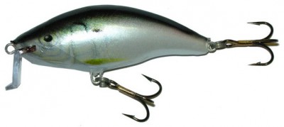 Shallow Runner 6 color S