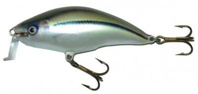 Shallow Runner 6 color SI