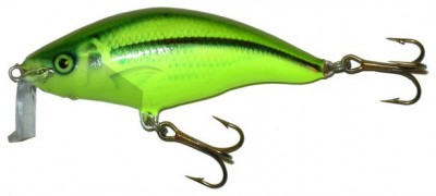 Shallow Runner 6 color SI-CHA