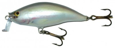 Shallow Runner 6 color YE