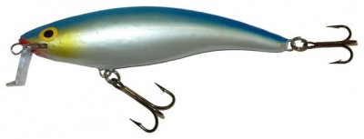 Shallow Runner 9 color BIS