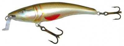 Shallow Runner 9 color DOR