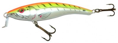 Shallow Runner 9 color FT-R