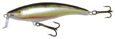 Shallow Runner 9 color PR