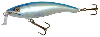 Shallow Runner 9 color TR