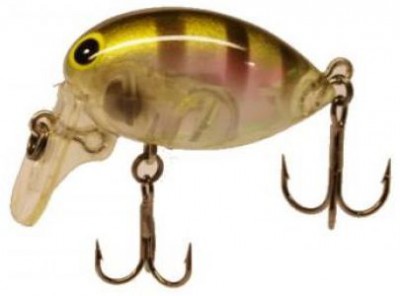 Namidakun CD color 67AN