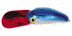 FatFish color MSBP