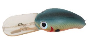 FatFish color SHAD