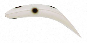 Jointed FlatFish color LBLS