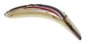 Jointed FlatFish color MGBB