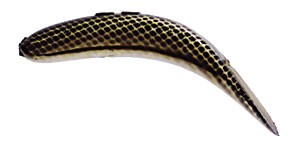 Jointed FlatFish color MGBL