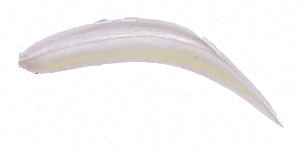 Jointed FlatFish color PL