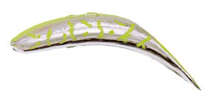 Jointed FlatFish color SCT