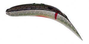 Jointed FlatFish color WCHUB