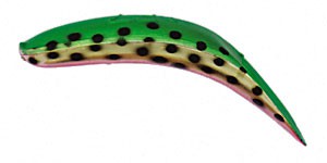 Jointed FlatFish color WTML