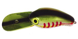 Magnum FatFish color CHPE