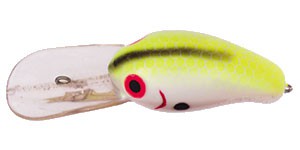 Magnum FatFish color CP