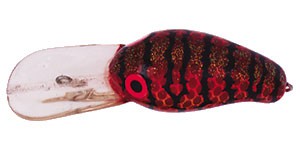 Magnum FatFish color CSC