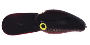 Magnum FatFish color SBHB