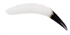 Original FlatFish color CC