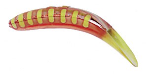 Original FlatFish color MCC