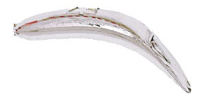 Original FlatFish color MSIL