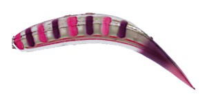 Original FlatFish color MSPP