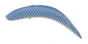 Original FlatFish color PB