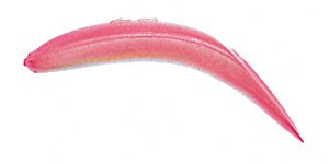 Original FlatFish color PLR