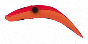 Original FlatFish color RYFL